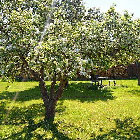 Waldblick Apartment Bueckeburg