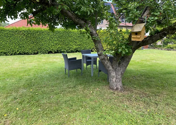 Waldblick * 巴克贝格